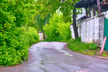 Aerial view on road word. Roundabout construction. Transport and logistic concept.