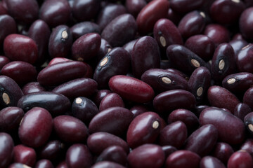 bunch of beans burgundy bright raw dry dry beans
