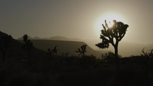 Locked down f8 wide shot panning sunset in Palm Springs, shot  on RED Helium 8K with 18mm lens at 60fps in RED Gamma 2.2