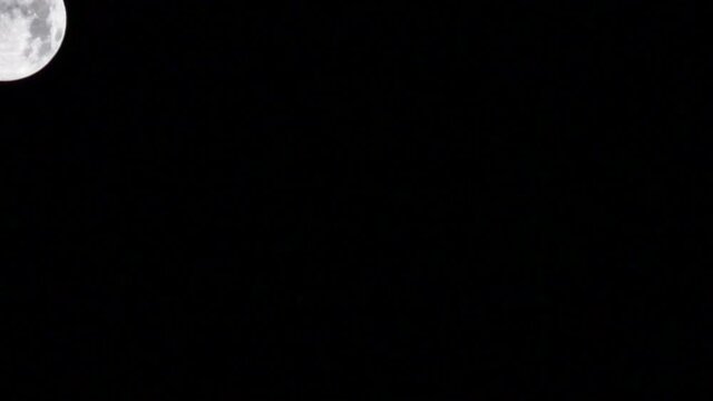 Time lapse of moon falling on dark night sky. Timelapse of 30 second, 30fps HD video. Full Moon Down Slowly. Moon appears high in the east at night. Black and White
