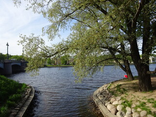 Fototapeta na wymiar Saint-Petersburg park on the river