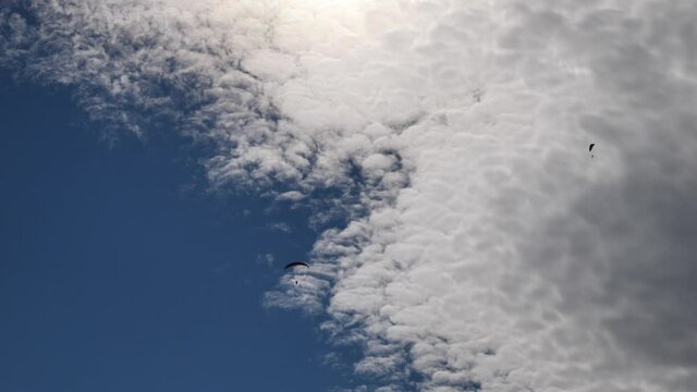 paragliders in blue sky with white clouds enjoying the sports of freedom para gliders