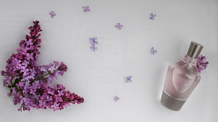 Glass, perfume, cosmetic bottle on white background with water and lilac. Top view, closeup