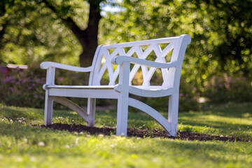 Lonely park bench in summer