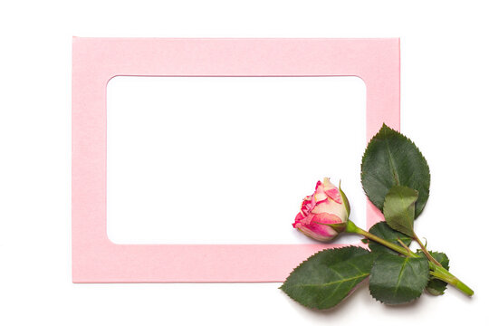 Pink card with fresh flowers. Rose. Flower arrangement. Copy space