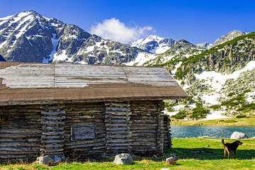 alpine hut in the alps