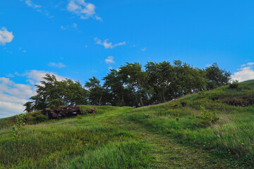 Summer landscape green meadow on a background of forest blue skyand white clouds.