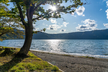 Fototapeta na wymiar Beautiful autumn foliage scenery landscapes of Lake Towada in sunny day. View from lakeside, clear sky, blue water and white cloud in the background. Towada Hachimantai National Park, Aomori, Japan