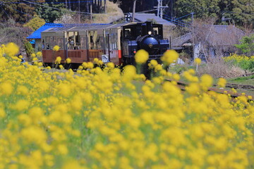 夷隅鉄道