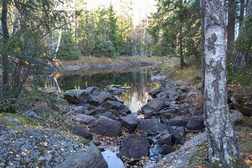 Swedish nature reserve, Tyresta National Park, Sweden.