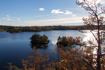 Swedish nature reserve, Tyresta National Park, Sweden.