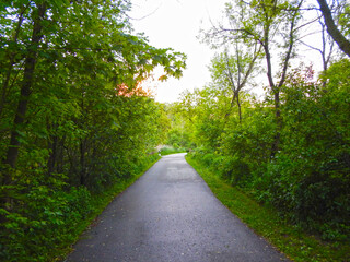 View of a park trail 