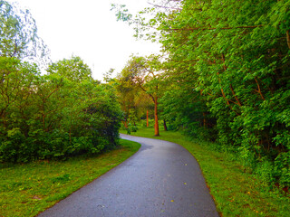 Fototapeta na wymiar View of a park trail 