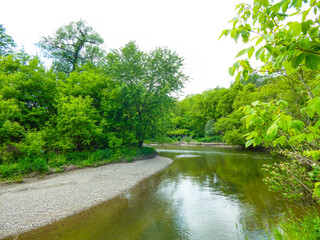 View of a river and tree landscape
