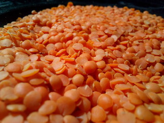 Red colour lentils