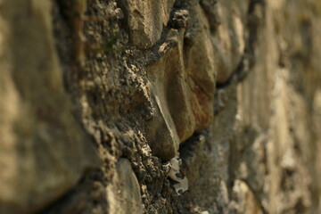 Barda de piedra natural (Wall Stone)