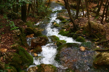 Premiers pas de l'Huveaune, Provence, Var