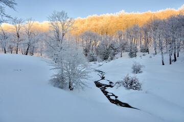 Sunrise On Forest Snow Covered In Nebrodi Mountains Of Sicily Nature Landmark Landscape