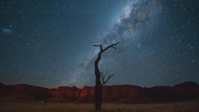 Time Lapse shot of silhouette dead tree against beautiful star field, scenic view of idyllic milky way over desert - Etosha National Park, Namibia