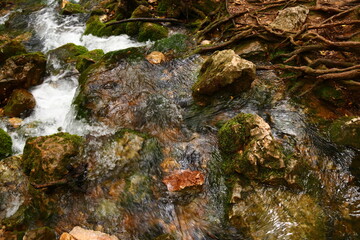 Les premiers pas de l'Huveaune, Provence, Var