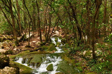 L'Huveaune &agrave; sa source, Provence, Var