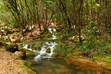 L'Huveaune &agrave; sa source