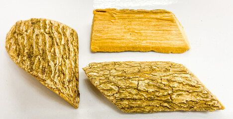 Capparis micracantha, Capparis bariensis Pierre