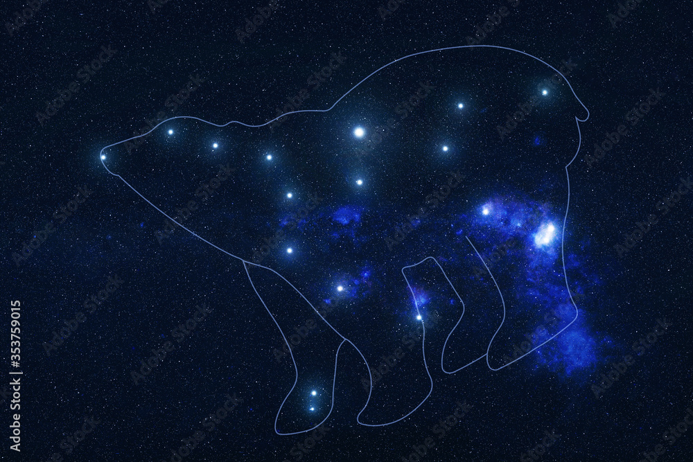 Wall mural ursa major constellation stars in outer space with shape of a bear in lines. elements of this image 