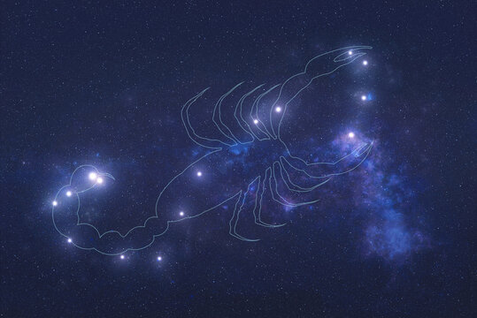 Scorpio Constellation stars in outer space with shape of a scorpio in lines. Zodiac Sign Scorpio constellation stars. Elements of this image were furnished by NASA