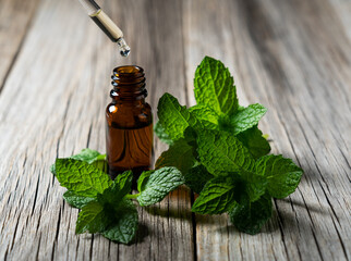 Mint essential oil and mint leaves set against the backdrop of an old tree © m________k____