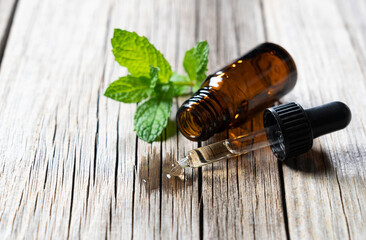 Mint essential oil and mint leaves set against the backdrop of an old tree