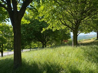 Fototapeta na wymiar View through the trees looking towards Bradford, from Denison Woods, Bradford, Yorkshire UK