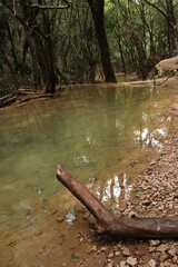 Sources de l'Huveaune, Var, Provence