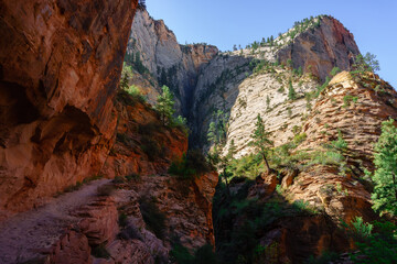 Fototapeta na wymiar Trail Canyon View, Zion National Park, Utah
