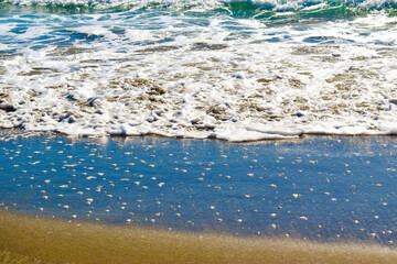 ocean waves sea foam hitting beach 