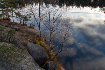 Swedish nature reserve, Tyresta National Park, Sweden.