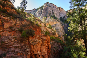 Trail Canyon View, Zion National Park, Utah