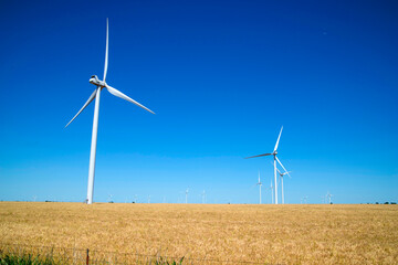wind turbines in a field of wheat