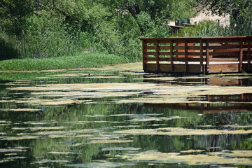 Fototapeta na wymiar Observation Deck on Pond