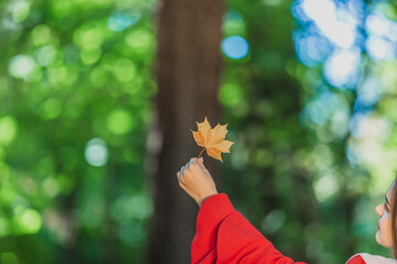 Its the Little Things That Make Life Better. Cropped photo of girl raising up an autumn leaf and...