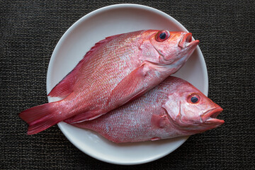 Philippines fish - Maya Maya, local red snapper on the plate - obrazy, fototapety, plakaty