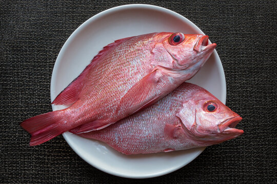 Philippines fish - Maya Maya, local red snapper on the plate