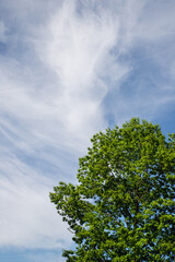 Beautiful clouds in the sky background with texture