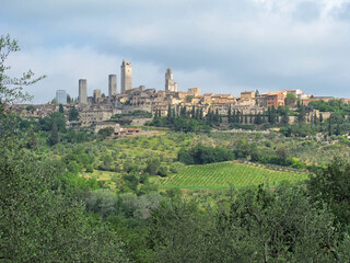 Fototapeta na wymiar Cityscape Showing the Medieval Towers of San Giminano, ItalyThe Medieval towers of San Gimignano rise above the cityscape and hills of Tuscany, Italy, surrounded by olive groves and vineyards.