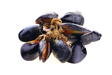 Mussels on a white background © pdm