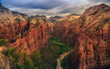 Looking into the Canyons from Angels Landing, Zion National Park, Utah