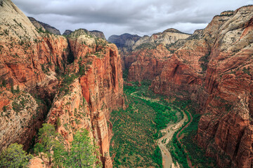 Looking into the Canyons from Angels Landing, Zion National Park, Utah