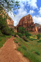 Fototapeta na wymiar Path Through Zion, Zion National Park, Utah