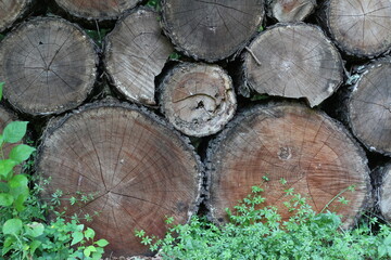stack of logs