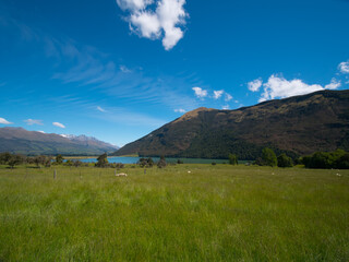 Naklejka premium ニュージーランド・グレノーキー・パラダイス